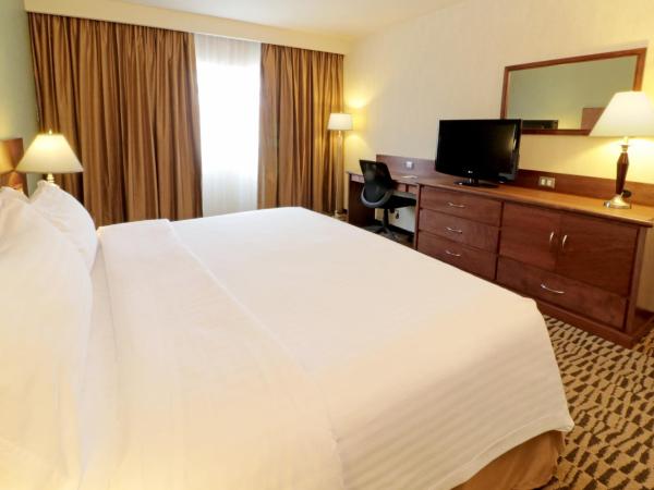 Holiday Inn Monterrey Norte, an IHG Hotel : photo 1 de la chambre chambre lit king-size standard