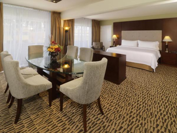 Holiday Inn Monterrey Norte, an IHG Hotel : photo 5 de la chambre suite lit king-size