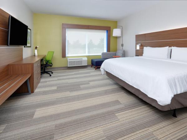 Holiday Inn Express & Suites - Dallas NW HWY - Love Field, an IHG Hotel : photo 3 de la chambre chambre lit king-size adaptée aux personnes malentendantes - non-fumeurs