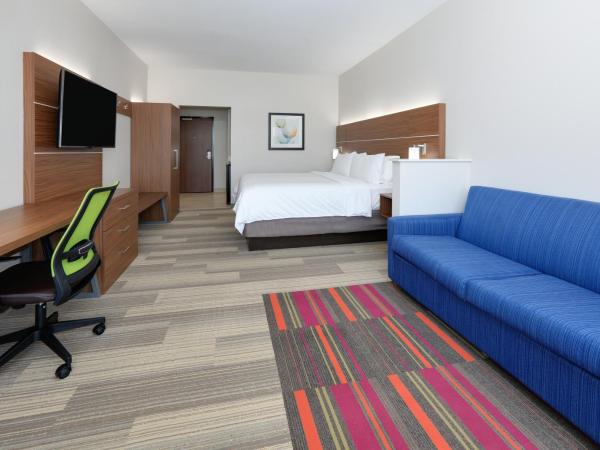 Holiday Inn Express & Suites - Dallas NW HWY - Love Field, an IHG Hotel : photo 1 de la chambre suite lit king-size – non-fumeurs