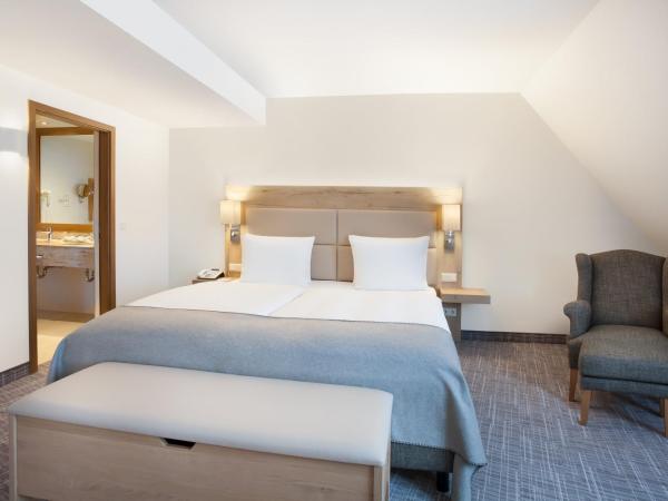 Holiday Inn Nürnberg City Centre, an IHG Hotel : photo 4 de la chambre hébergement lit king-size standard