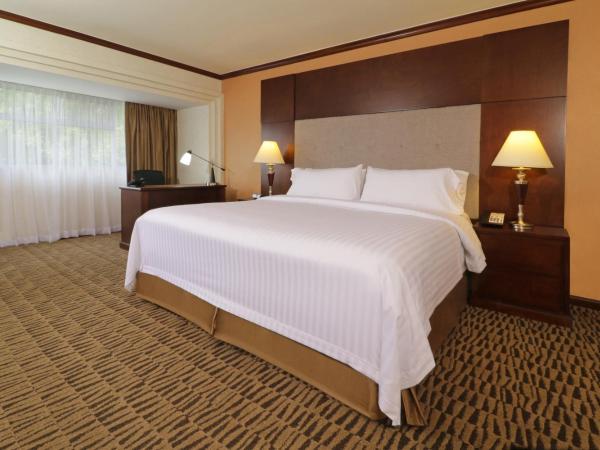 Holiday Inn Monterrey Norte, an IHG Hotel : photo 6 de la chambre suite lit king-size