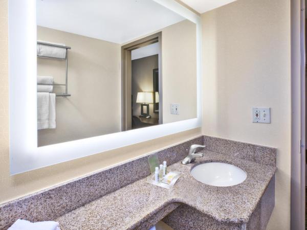 Holiday Inn National Airport/Crystal City, an IHG Hotel : photo 3 de la chambre chambre lit king-size - non-fumeurs