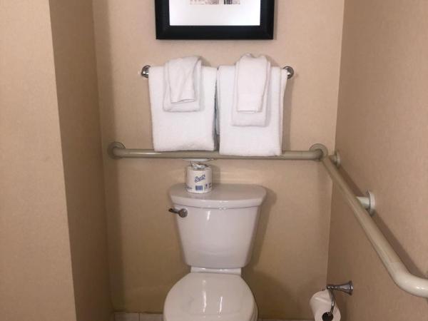 Omni William Penn Hotel : photo 2 de la chambre chambre ada deluxe avec 2 lits doubles et douche accessible en fauteuil roulant