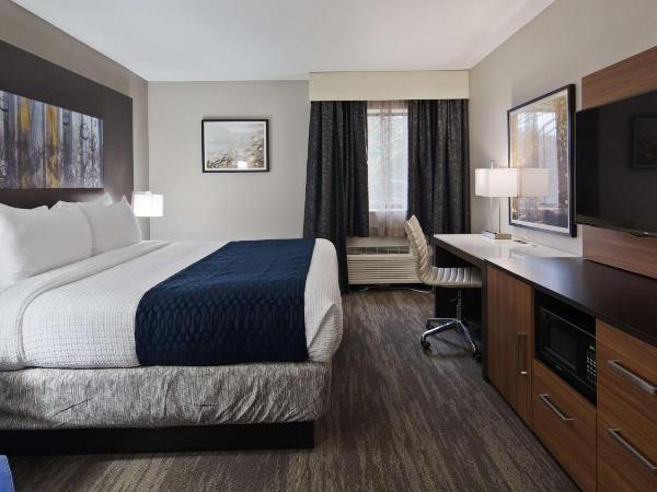 Best Western Atlanta-Marietta Ballpark Hotel : photo 5 de la chambre chambre lit king-size