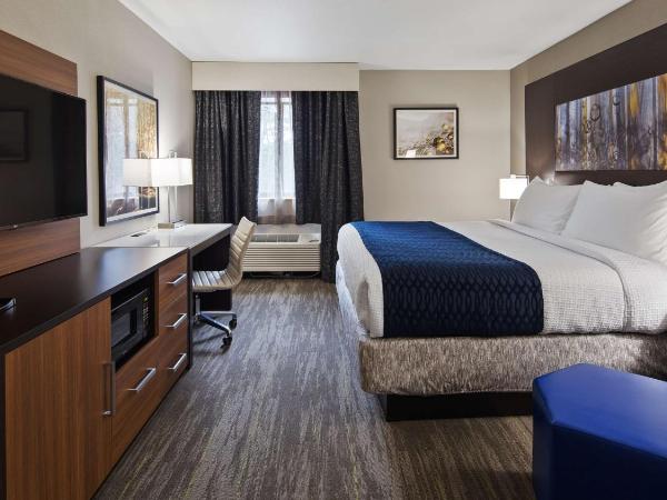 Best Western Atlanta-Marietta Ballpark Hotel : photo 6 de la chambre chambre lit king-size