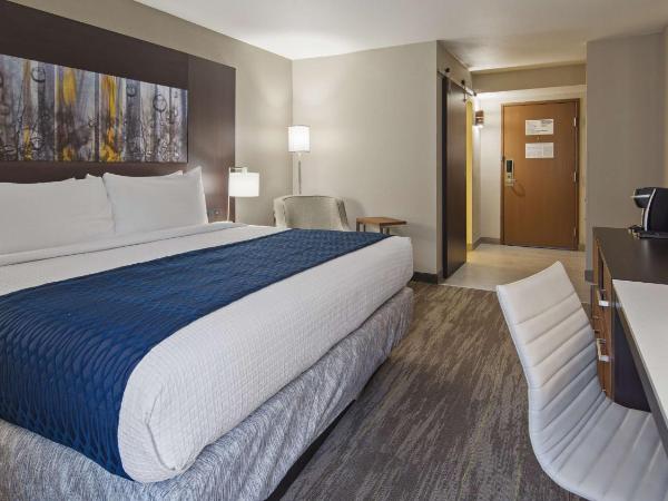 Best Western Atlanta-Marietta Ballpark Hotel : photo 2 de la chambre chambre lit king-size
