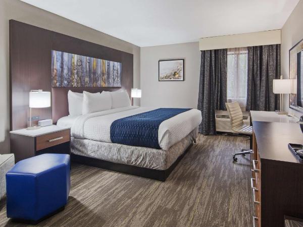 Best Western Atlanta-Marietta Ballpark Hotel : photo 3 de la chambre chambre lit king-size