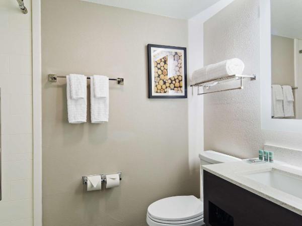 Best Western Atlanta-Marietta Ballpark Hotel : photo 5 de la chambre chambre lit king-size avec douche à l'italienne