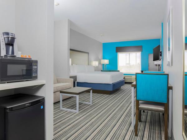 Holiday Inn Express & Suites Houston - Hobby Airport Area, an IHG Hotel : photo 10 de la chambre suite lit king-size – non-fumeurs