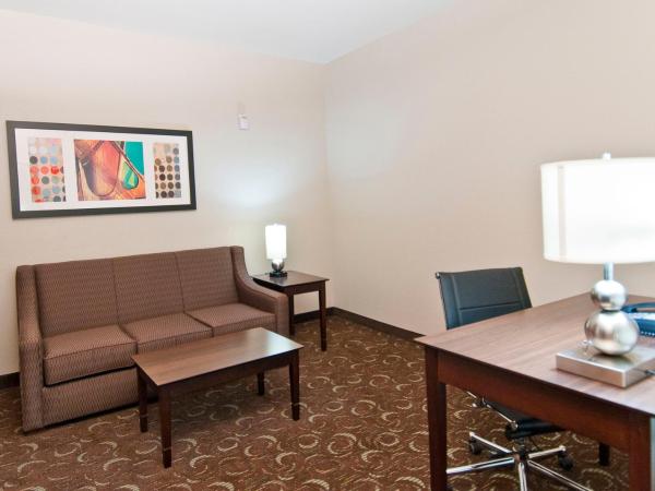 Holiday Inn Express & Suites San Antonio Frost Bank Center, an IHG Hotel : photo 4 de la chambre suite lit king-size