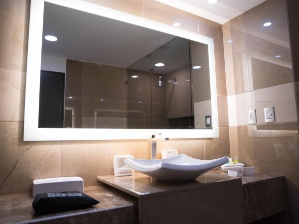 Holiday Inn Queretaro Zona Diamante, an IHG Hotel : photo 4 de la chambre chambre double standard avec 2 lits doubles - vue sur ville