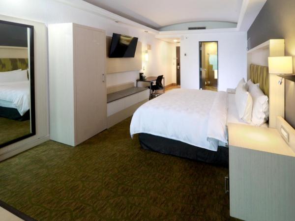 Holiday Inn Queretaro Zona Diamante, an IHG Hotel : photo 2 de la chambre king suite with bath and shower