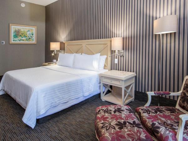 Holiday Inn Queretaro Centro Historico, an IHG Hotel : photo 2 de la chambre chambre lit king-size standard - dernier Étage