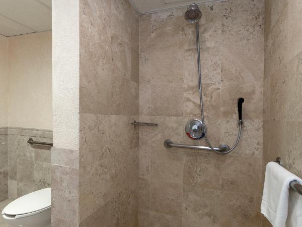 Holiday Inn Queretaro Centro Historico, an IHG Hotel : photo 3 de la chambre chambre lit king-size standard - accessible aux personnes à mobilité réduite