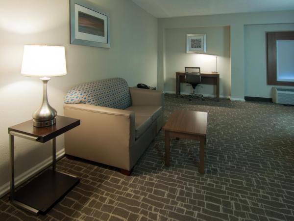 Holiday Inn Express & Suites Nashville-I-40 & I-24(Spence Lane), an IHG Hotel : photo 1 de la chambre suite 1 chambre lit king-size avec canapé-lit - non-fumeurs