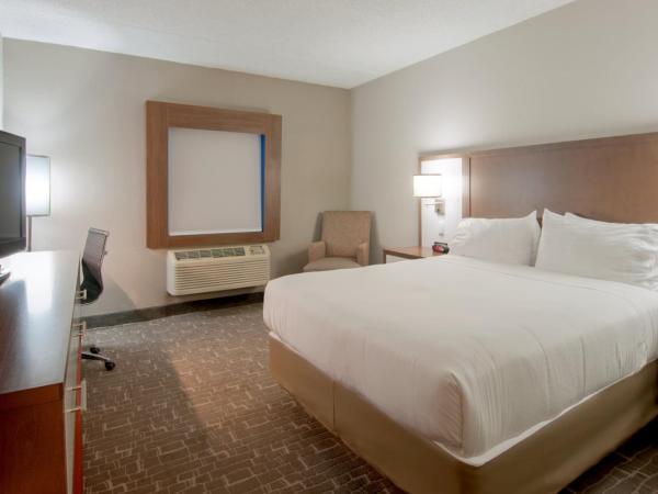Holiday Inn Express & Suites Nashville-I-40 & I-24(Spence Lane), an IHG Hotel : photo 1 de la chambre chambre lit king-size standard