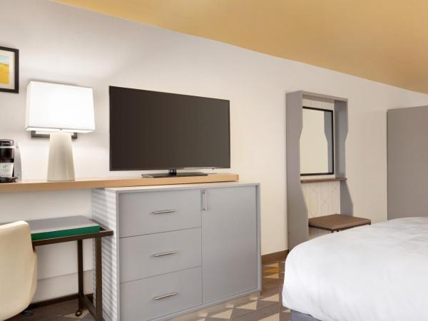 Holiday Inn Houston Intercontinental Airport, an IHG Hotel : photo 3 de la chambre chambre standard
