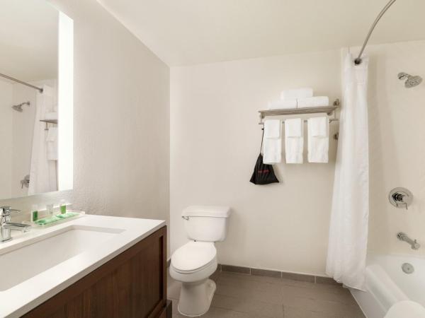 Holiday Inn Houston Intercontinental Airport, an IHG Hotel : photo 6 de la chambre chambre standard