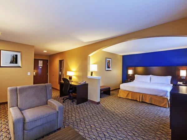 Holiday Inn Express Hotel & Suites Houston-Downtown Convention Center, an IHG Hotel : photo 4 de la chambre suite junior avec un lit king-size