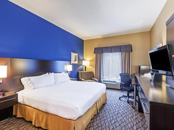 Holiday Inn Express Hotel & Suites Houston-Downtown Convention Center, an IHG Hotel : photo 1 de la chambre chambre lit king-size - douche à l'italienne accessible aux personnes à mobilité réduite
