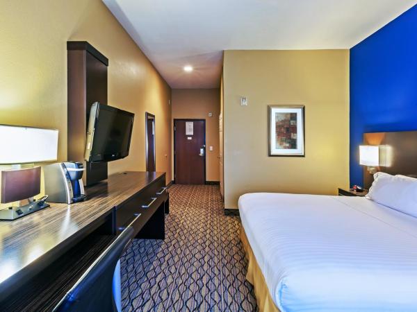 Holiday Inn Express Hotel & Suites Houston-Downtown Convention Center, an IHG Hotel : photo 1 de la chambre chambre lit king-size standard