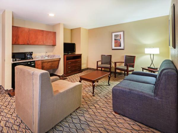 Holiday Inn Express Hotel & Suites Houston-Downtown Convention Center, an IHG Hotel : photo 1 de la chambre suite exécutive avec 2 lits queen-size 