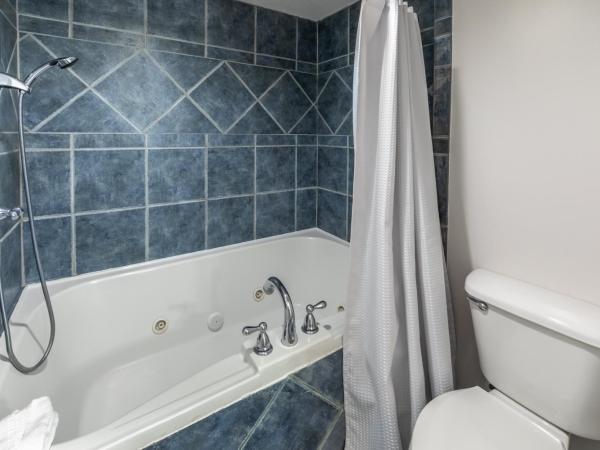 Holiday Inn Club Vacations Panama City Beach Resort, an IHG Hotel : photo 1 de la chambre chambre standard