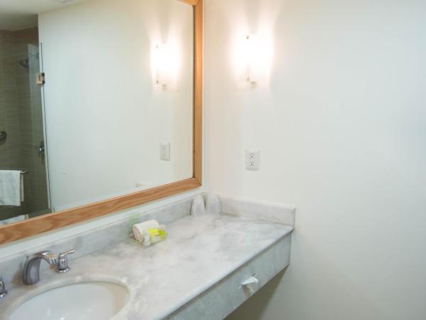 Holiday Inn Hotel & Suites Centro Historico, an IHG Hotel : photo 7 de la chambre chambre lit king-size standard