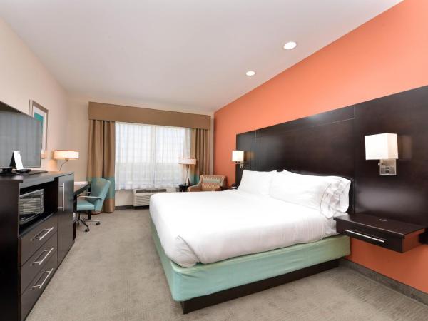 Holiday Inn Express & Suites Austin South, an IHG Hotel : photo 3 de la chambre chambre lit king-size supérieure - non-fumeurs