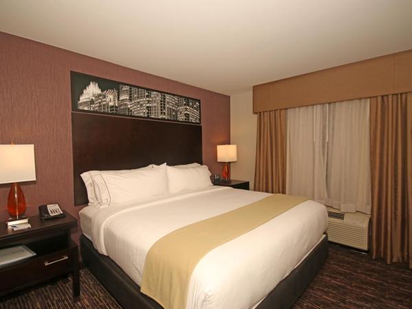 Holiday Inn Express & Suites Charlotte North, an IHG Hotel : photo 1 de la chambre suite 1 chambre lit king-size avec canapé-lit