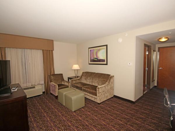 Holiday Inn Express & Suites Charlotte North, an IHG Hotel : photo 3 de la chambre suite 1 chambre lit king-size avec canapé-lit