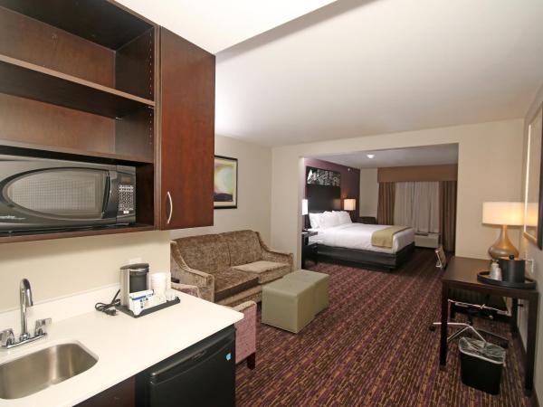Holiday Inn Express & Suites Charlotte North, an IHG Hotel : photo 1 de la chambre suite lit king-size avec canapé-lit