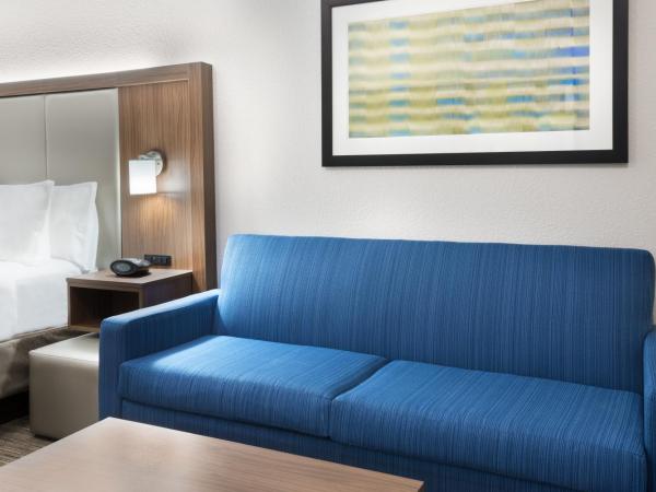 Holiday Inn Express & Suites - Columbus Airport East, an IHG Hotel : photo 2 de la chambre chambre lit king-size standard avec canapé-lit - non-fumeurs