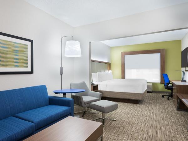 Holiday Inn Express & Suites - Columbus Airport East, an IHG Hotel : photo 5 de la chambre chambre lit king-size exécutive avec canapé-lit