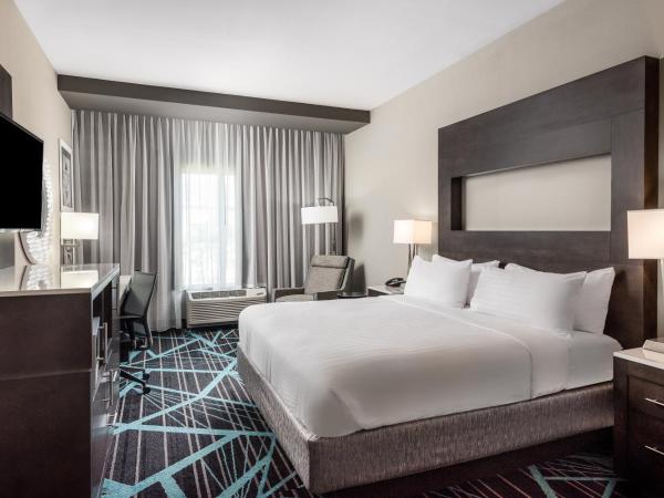 Holiday Inn Express & Suites - Charlotte Airport, an IHG Hotel : photo 3 de la chambre chambre lit king-size loisirs - non-fumeurs