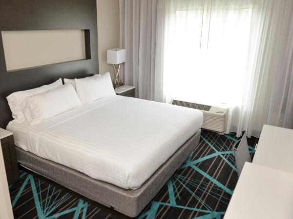 Holiday Inn Express & Suites - Charlotte Airport, an IHG Hotel : photo 2 de la chambre chambre lit king-size loisirs - non-fumeurs