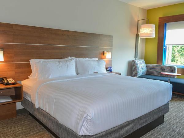 Holiday Inn Express & Suites - Charlotte NE - University Area, an IHG Hotel : photo 3 de la chambre chambre lit king-size standard