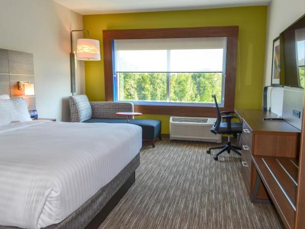 Holiday Inn Express & Suites - Charlotte NE - University Area, an IHG Hotel : photo 2 de la chambre chambre lit king-size standard