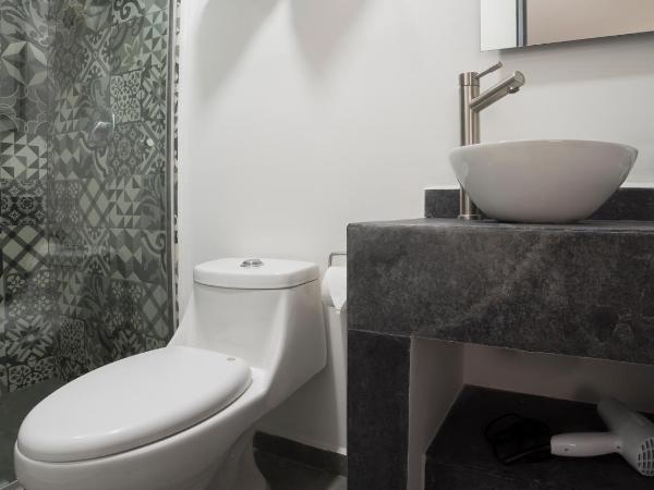 Suites Arboleda 215 : photo 4 de la chambre standard