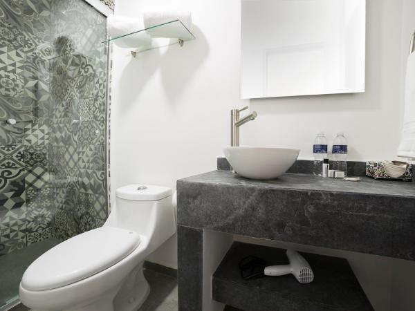 Suites Arboleda 215 : photo 5 de la chambre standard