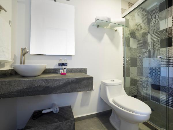 Suites Arboleda 215 : photo 7 de la chambre suite avec balcon