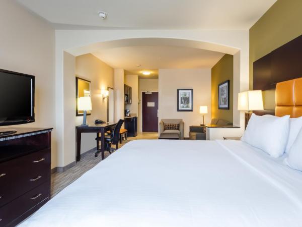 Holiday Inn Express Hotel & Suites Dallas West, an IHG Hotel : photo 3 de la chambre suite lit king-size