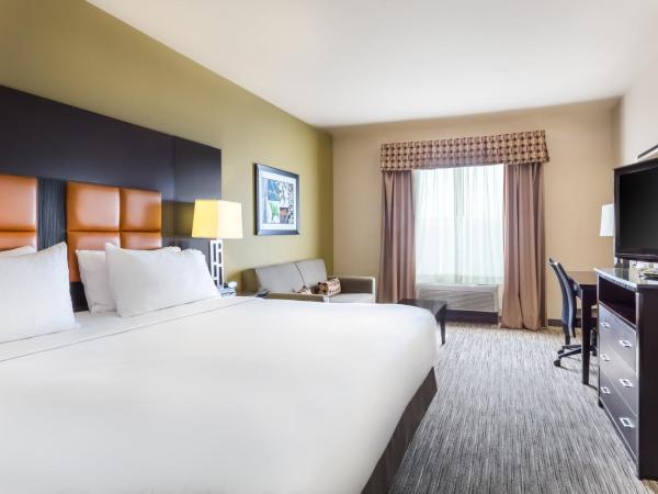 Holiday Inn Express Hotel & Suites Dallas West, an IHG Hotel : photo 2 de la chambre chambre lit king-size