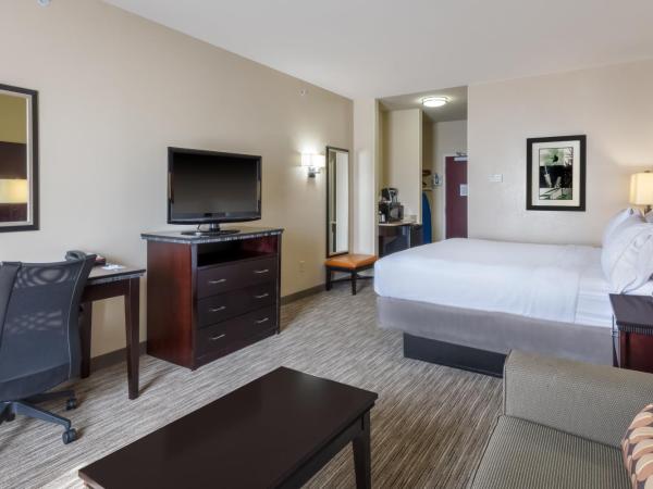 Holiday Inn Express Hotel & Suites Dallas West, an IHG Hotel : photo 4 de la chambre chambre lit king-size