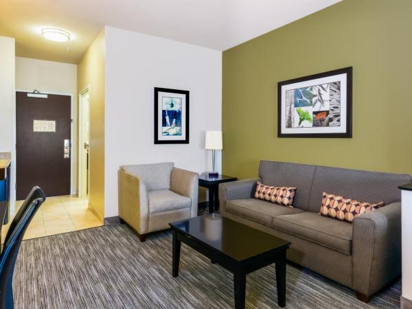 Holiday Inn Express Hotel & Suites Dallas West, an IHG Hotel : photo 1 de la chambre suite lit king-size