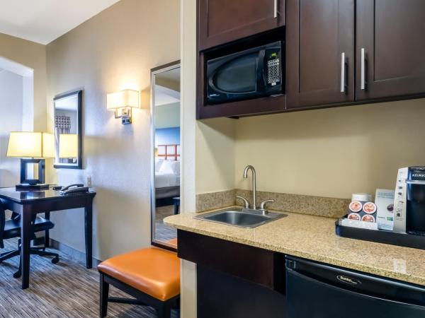Holiday Inn Express Hotel & Suites Dallas West, an IHG Hotel : photo 1 de la chambre suite lit queen-size