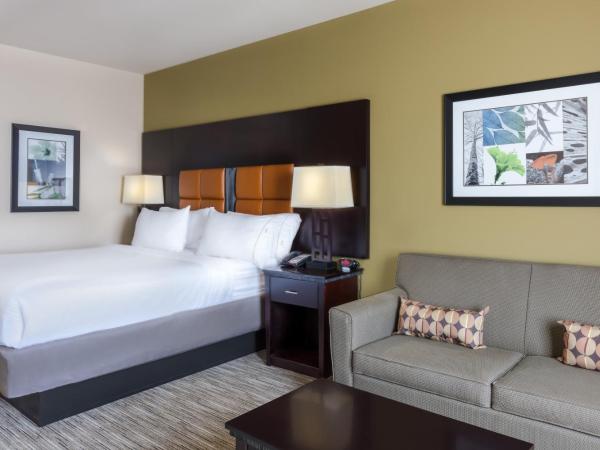 Holiday Inn Express Hotel & Suites Dallas West, an IHG Hotel : photo 5 de la chambre chambre lit king-size