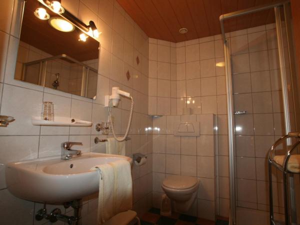 Hotel Engl : photo 6 de la chambre chambre simple