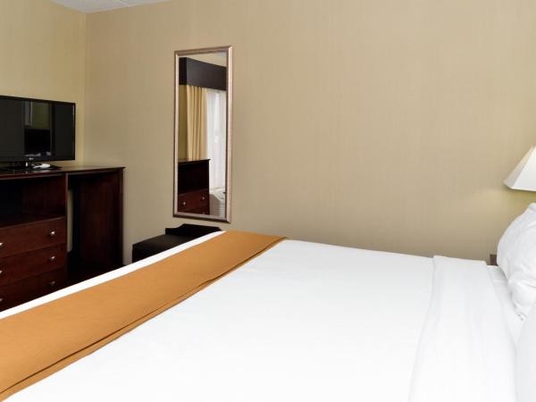 Holiday Inn Express Hotel & Suites Indianapolis W - Airport Area, an IHG Hotel : photo 1 de la chambre chambre standard